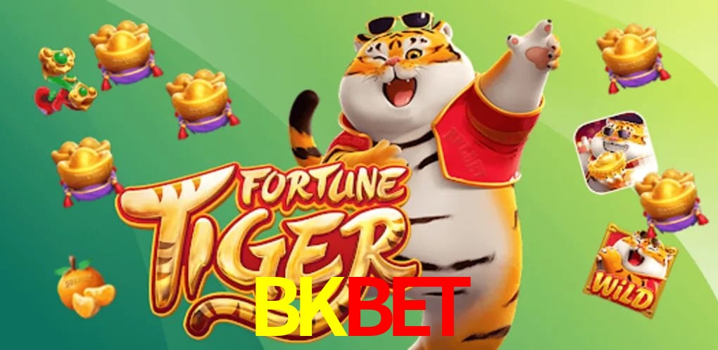 Sports Statistics BKBET